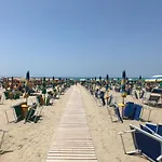 Near The Sea